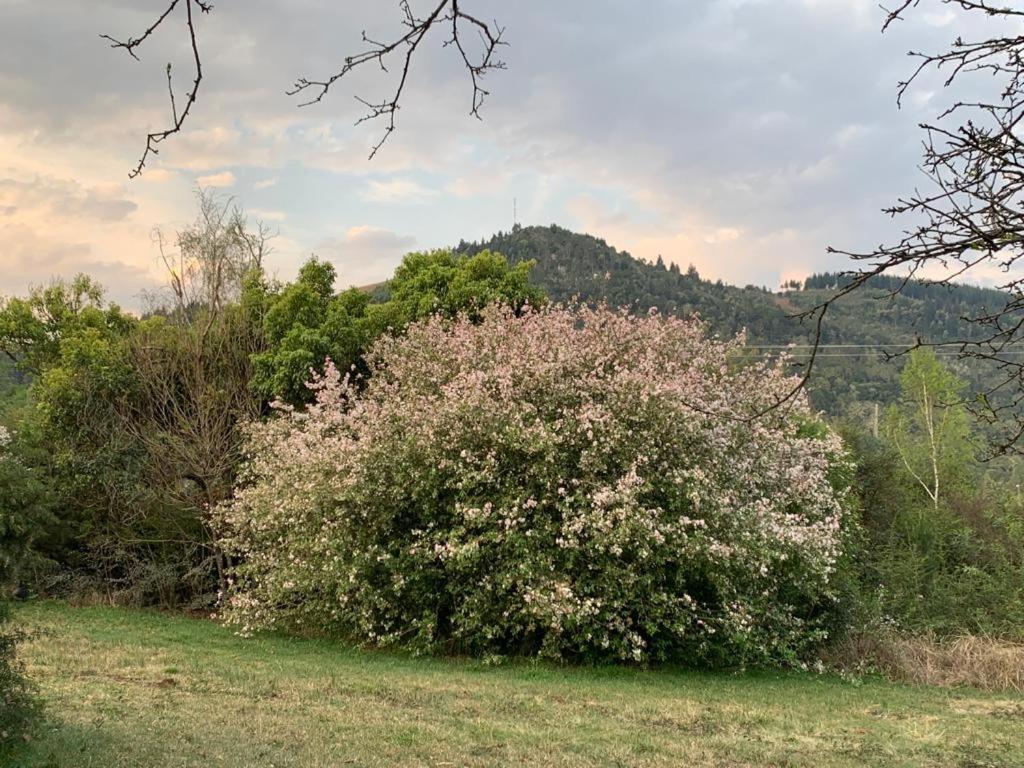 Laragh-On-Hogsback Villa Exteriör bild