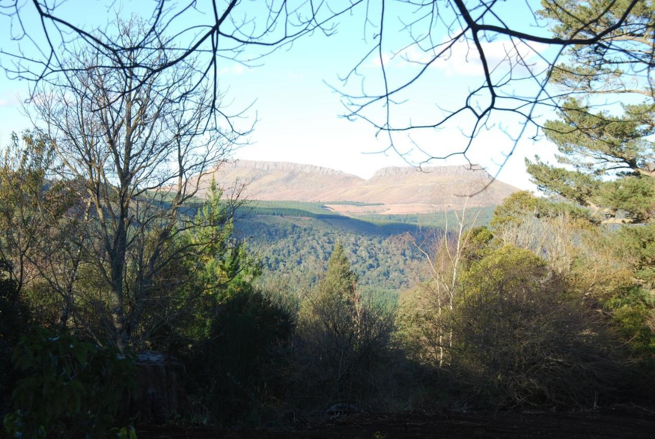 Laragh-On-Hogsback Villa Exteriör bild